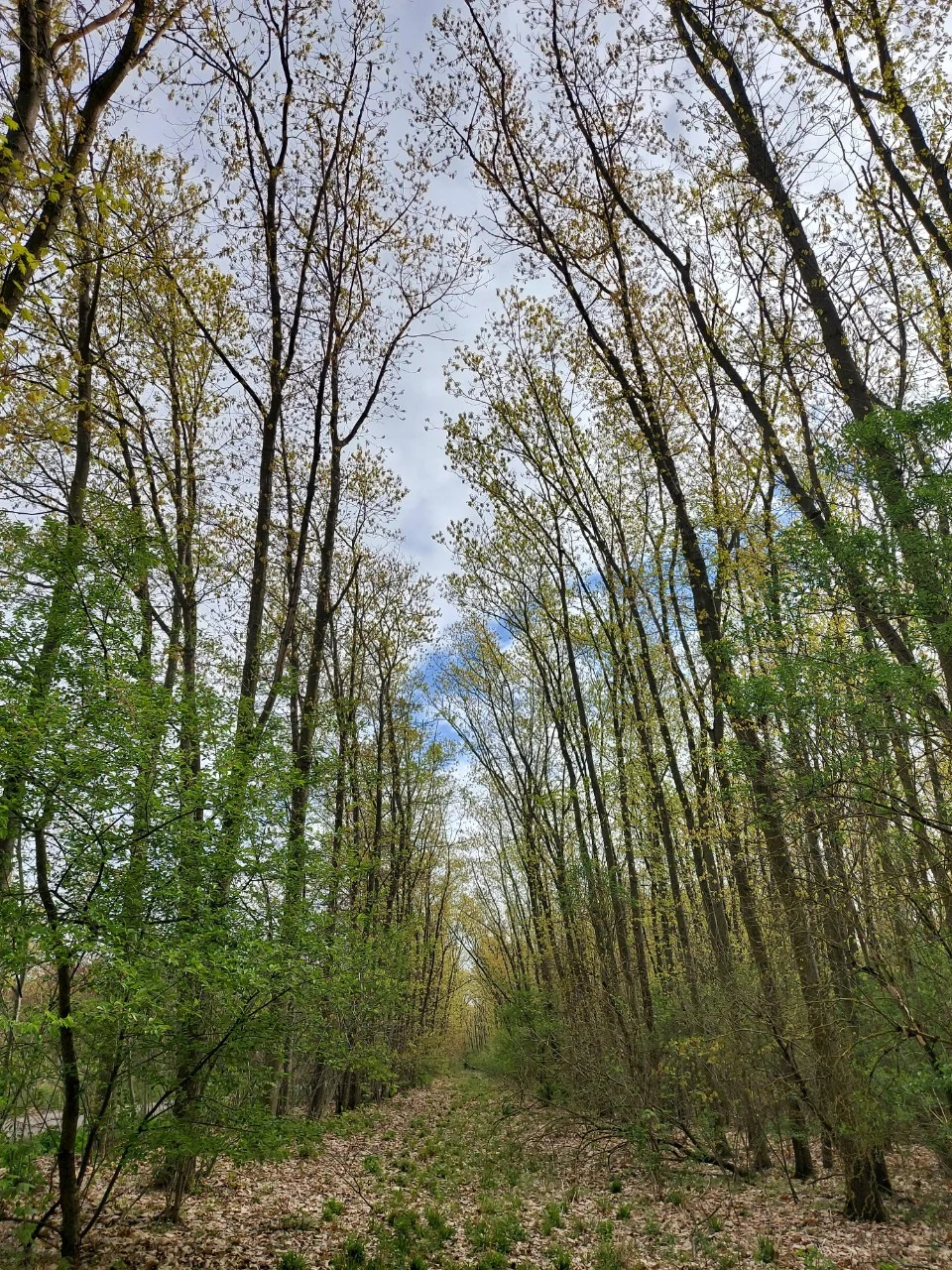 Photo of Weiterstadt