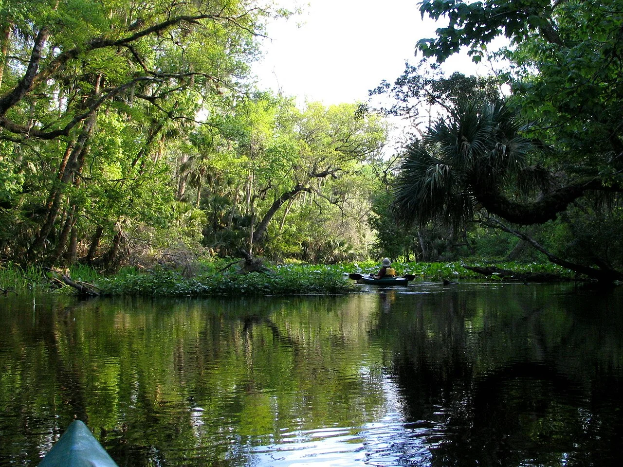 Photo of Wekiwa Springs
