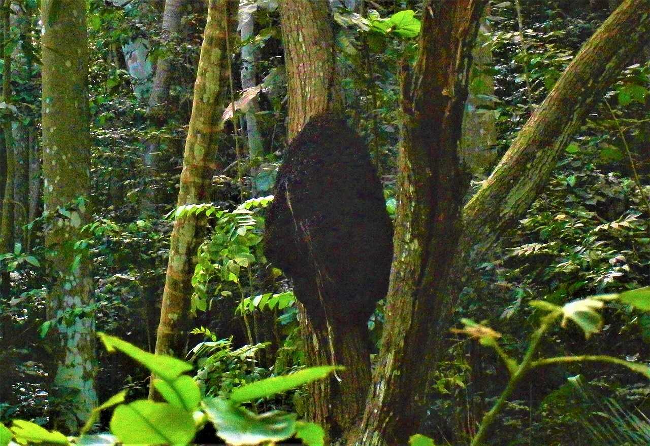 Photo of Welchman Hall