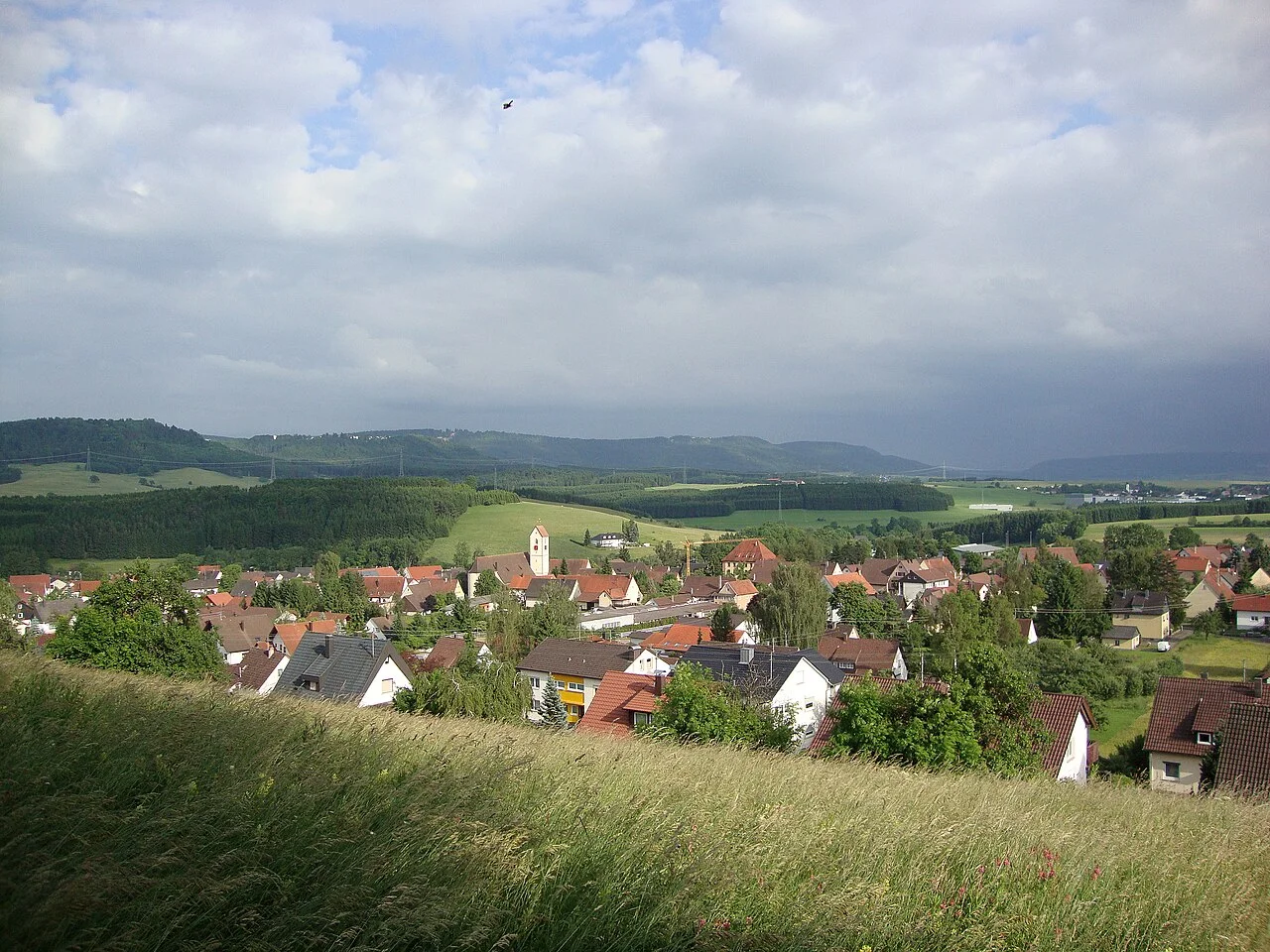 Photo of Wellendingen