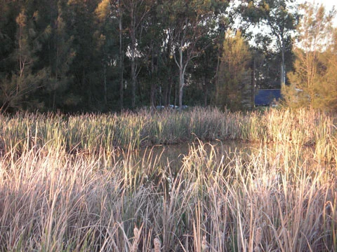 Photo of West Hoxton