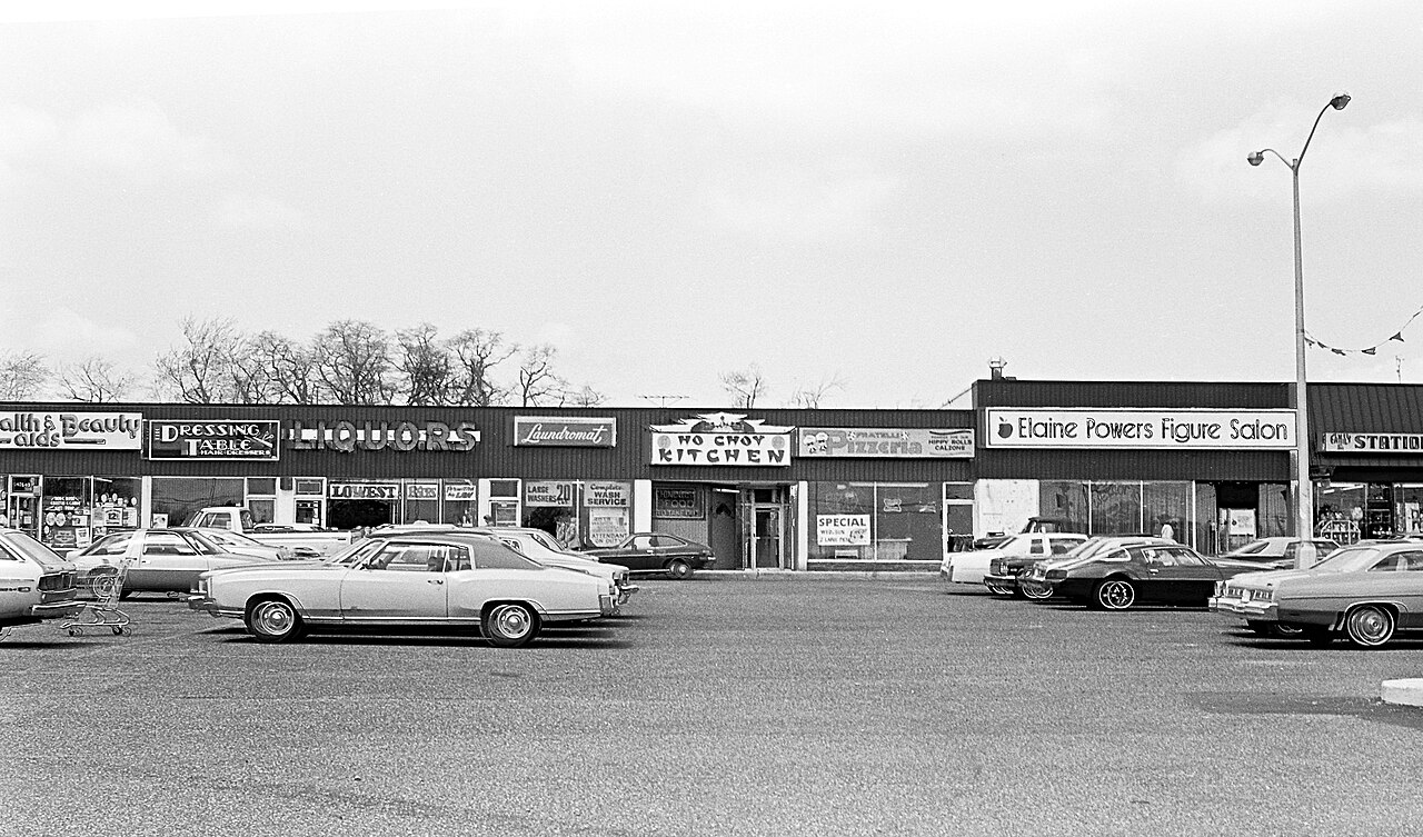 Strip mall adjacent to Grand Union supermarket at 400 Union Blvd, West Islip, NY 11795.