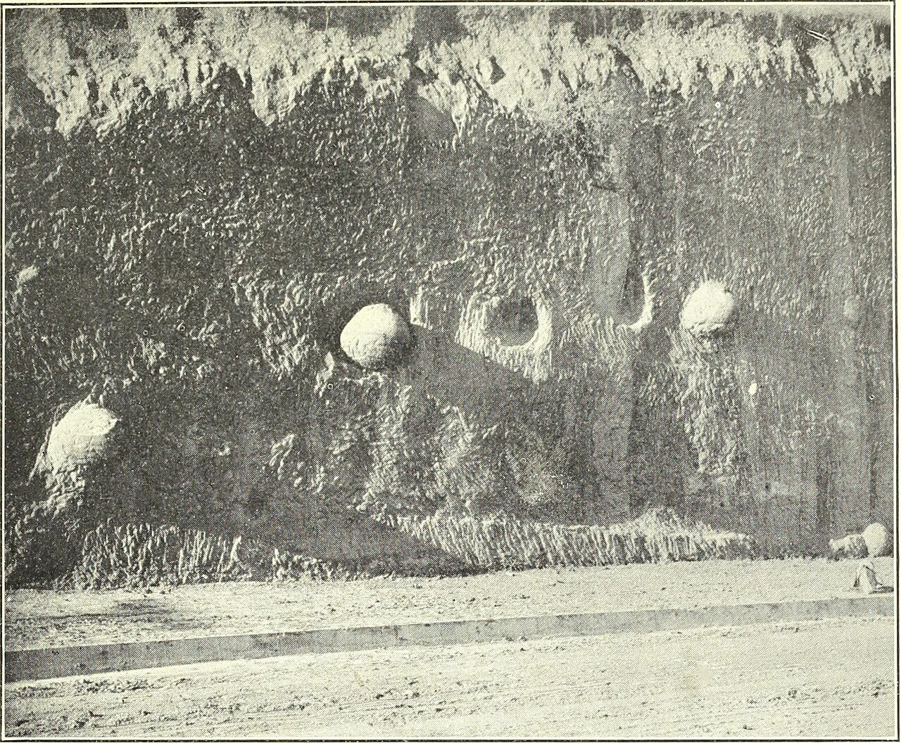 Photo of West Puente Valley