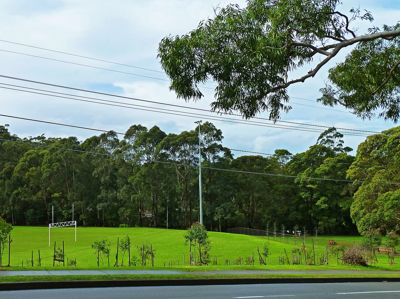 Photo of West Pymble