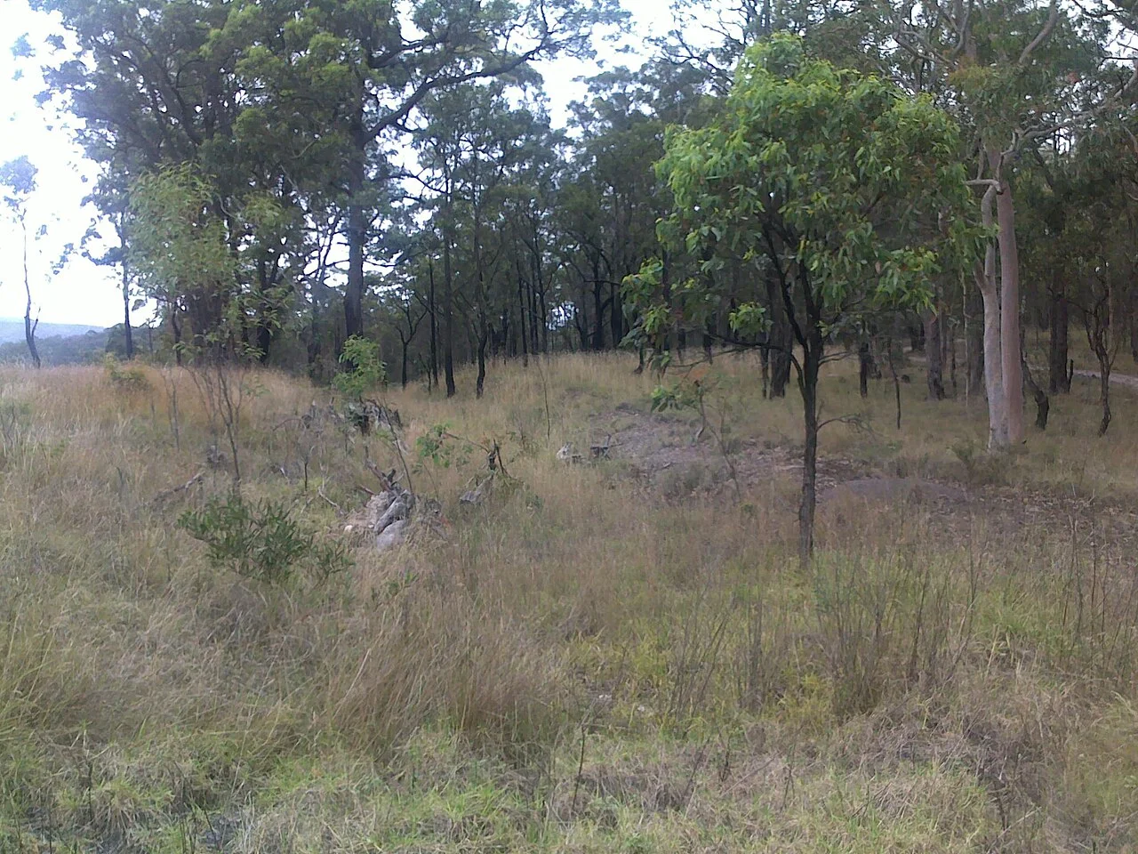 Photo of West Wallsend