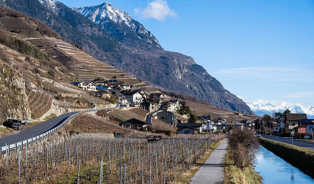 Photo of Westminster-Branson