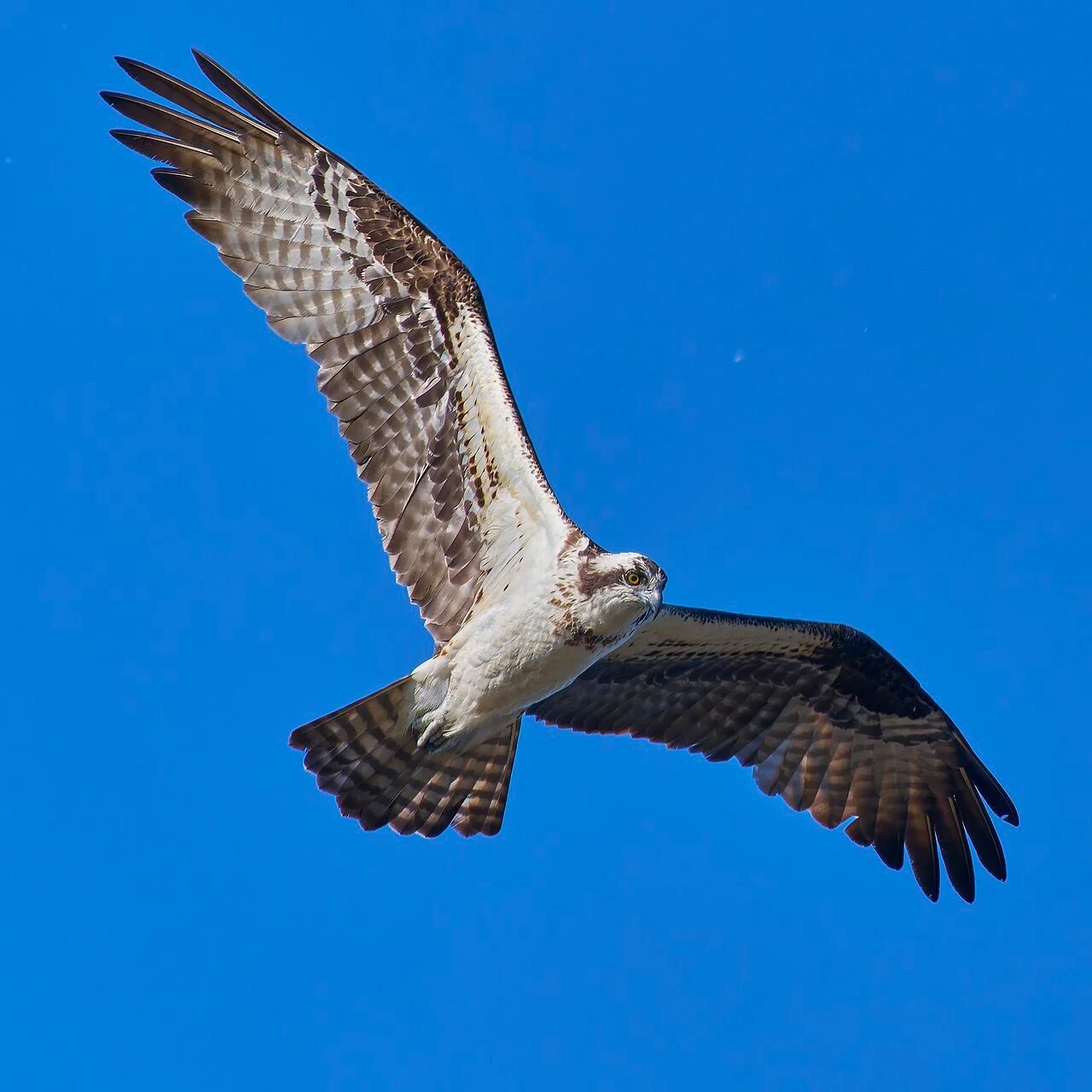 Photo of Wethersfield