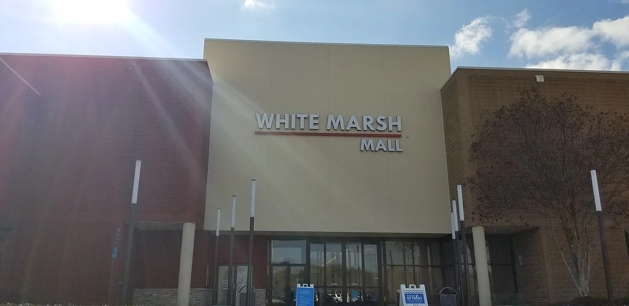 Photo of White Marsh