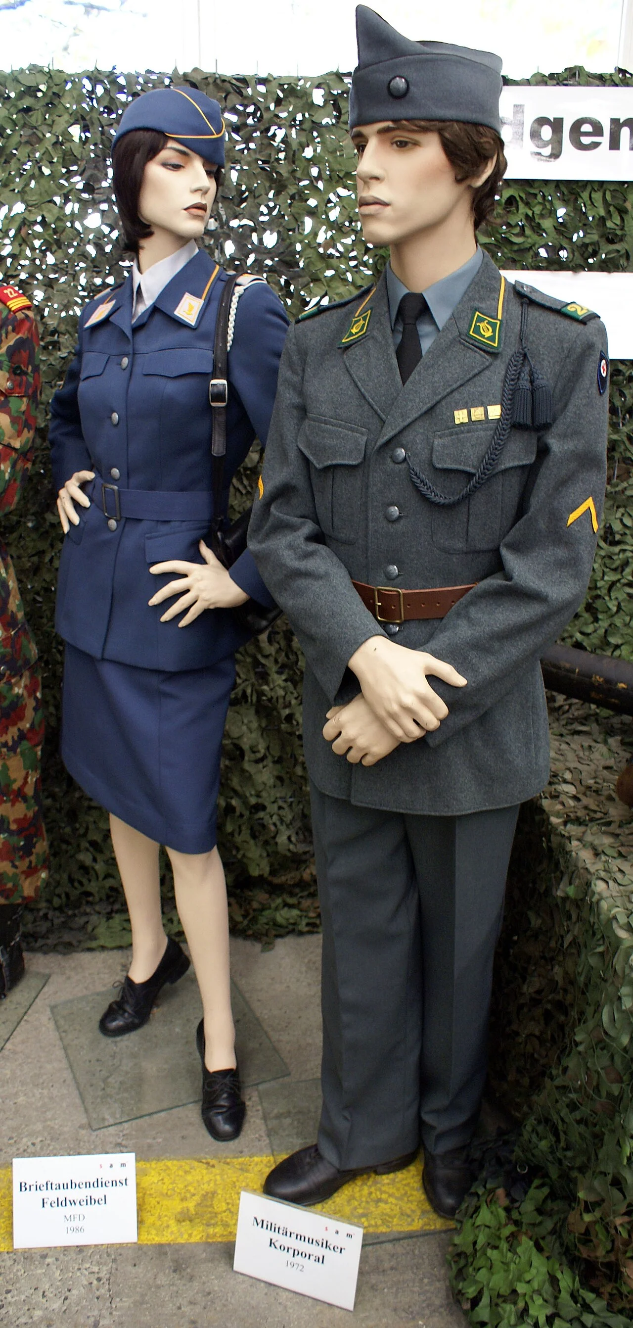 Photo of White Pigeon