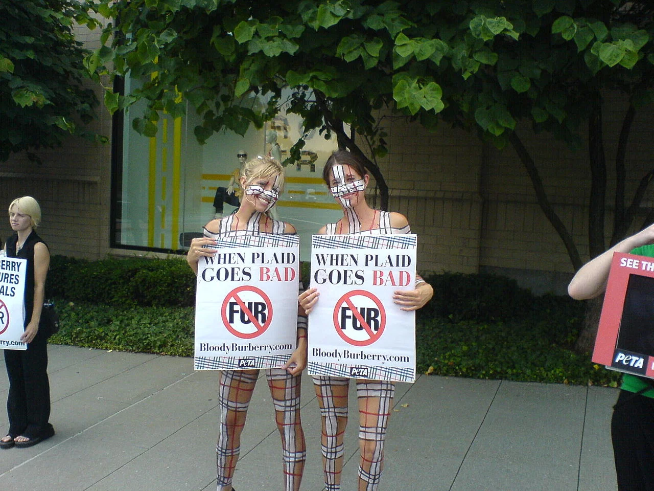 Photo of White Plains