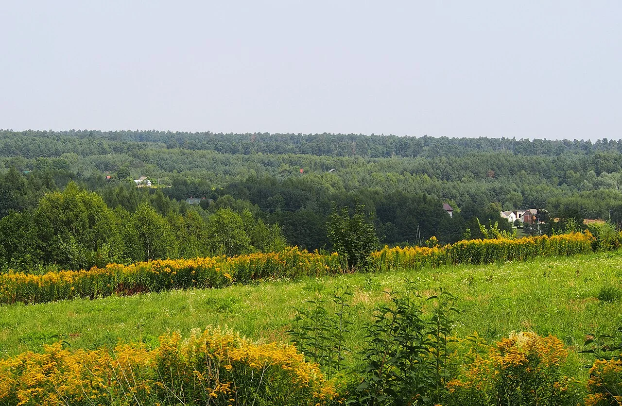 Photo of Wiązownica