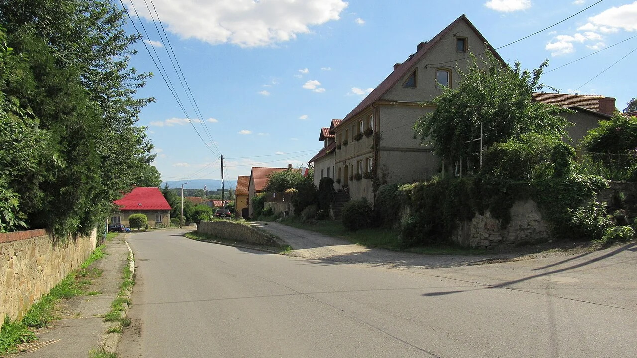 Photo of Wierzbna