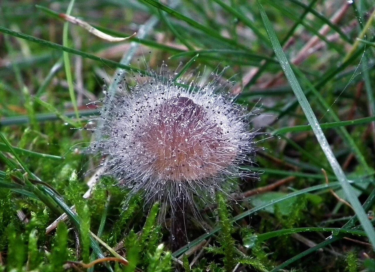 Photo of Wietrzychowice