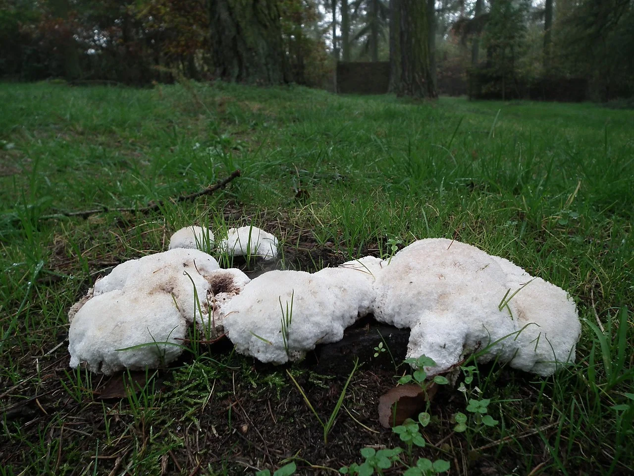 Photo of Wietrzychowice