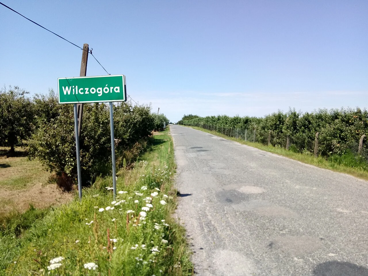 Photo of Wilczogóra