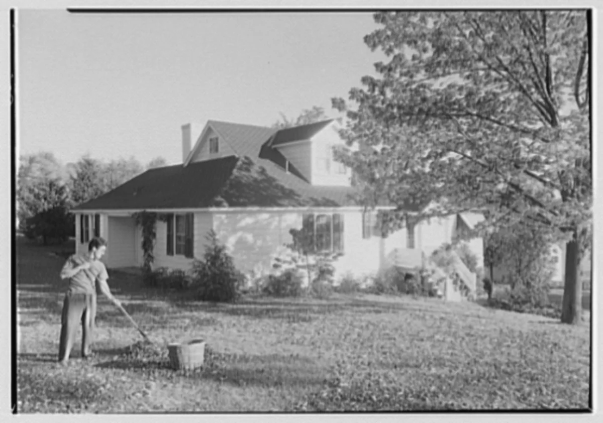 Photo of Wilkinson Heights