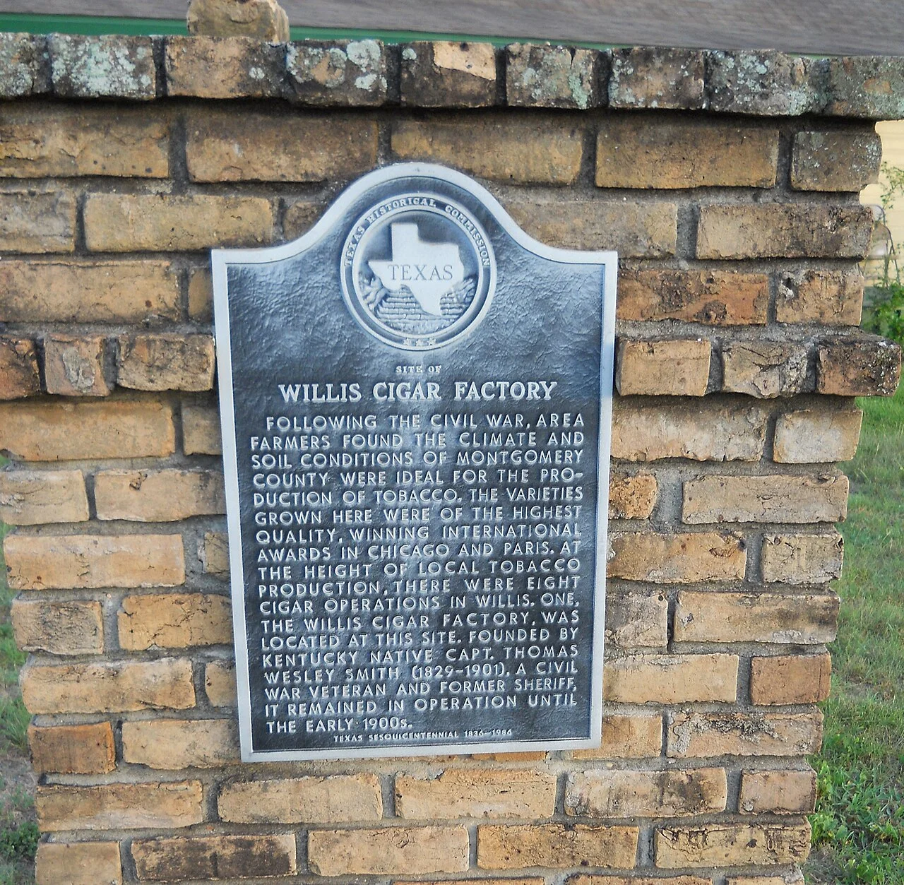 Photo of Willis