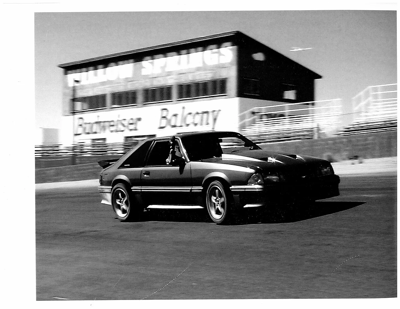 Photo of Willow Springs