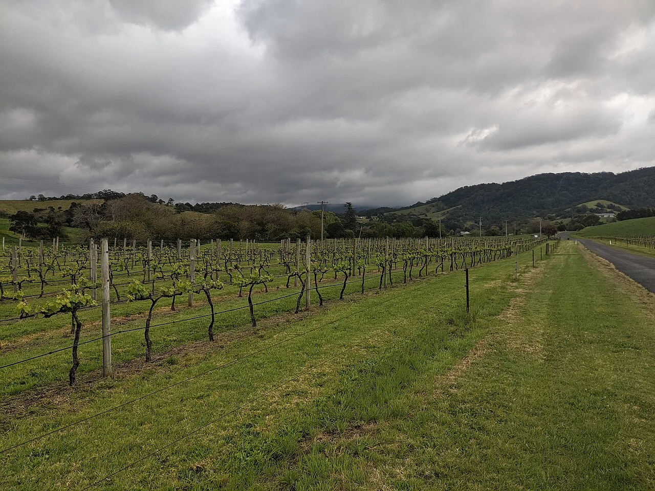 Photo of Willow Vale