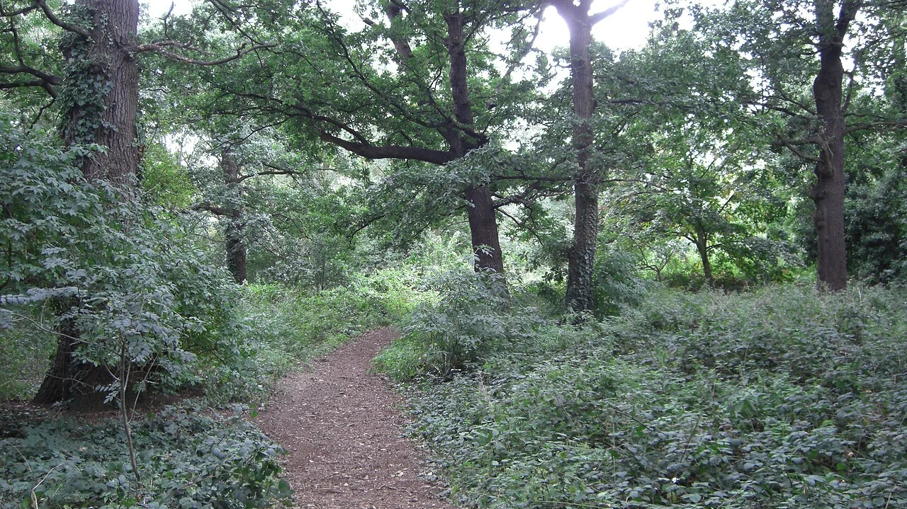 Photo of Wimbledon Park