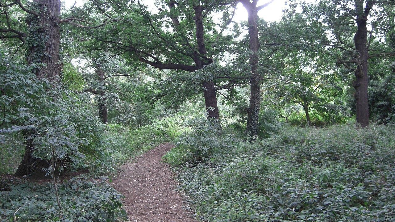 Horse Close Wood, Wimbledon Park, UK.