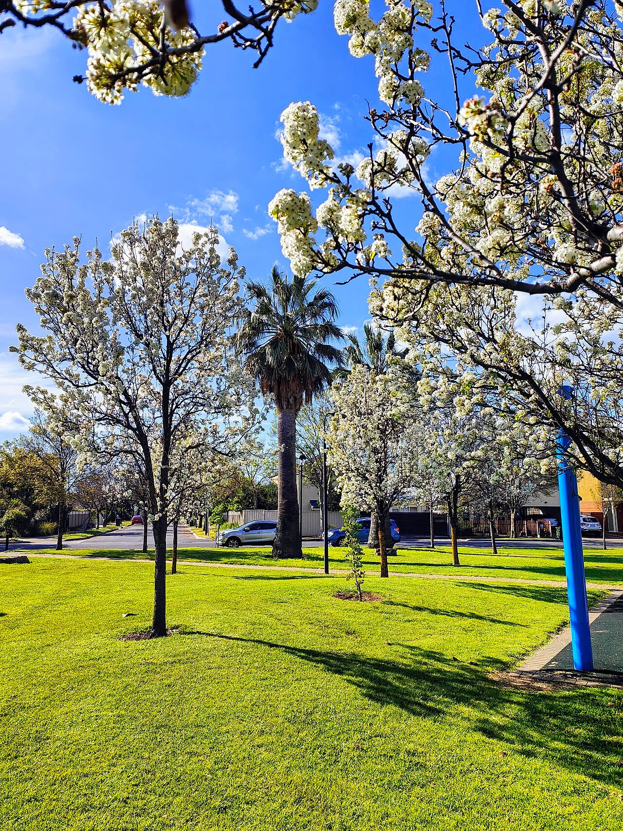 Photo of Windsor Gardens