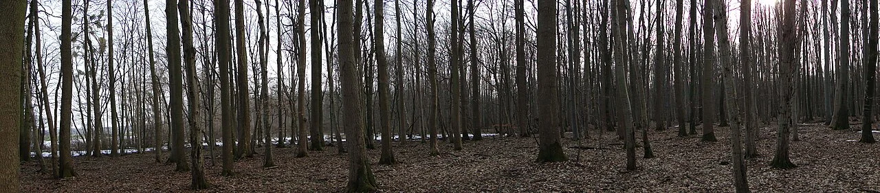 Photo of Wittenhagen