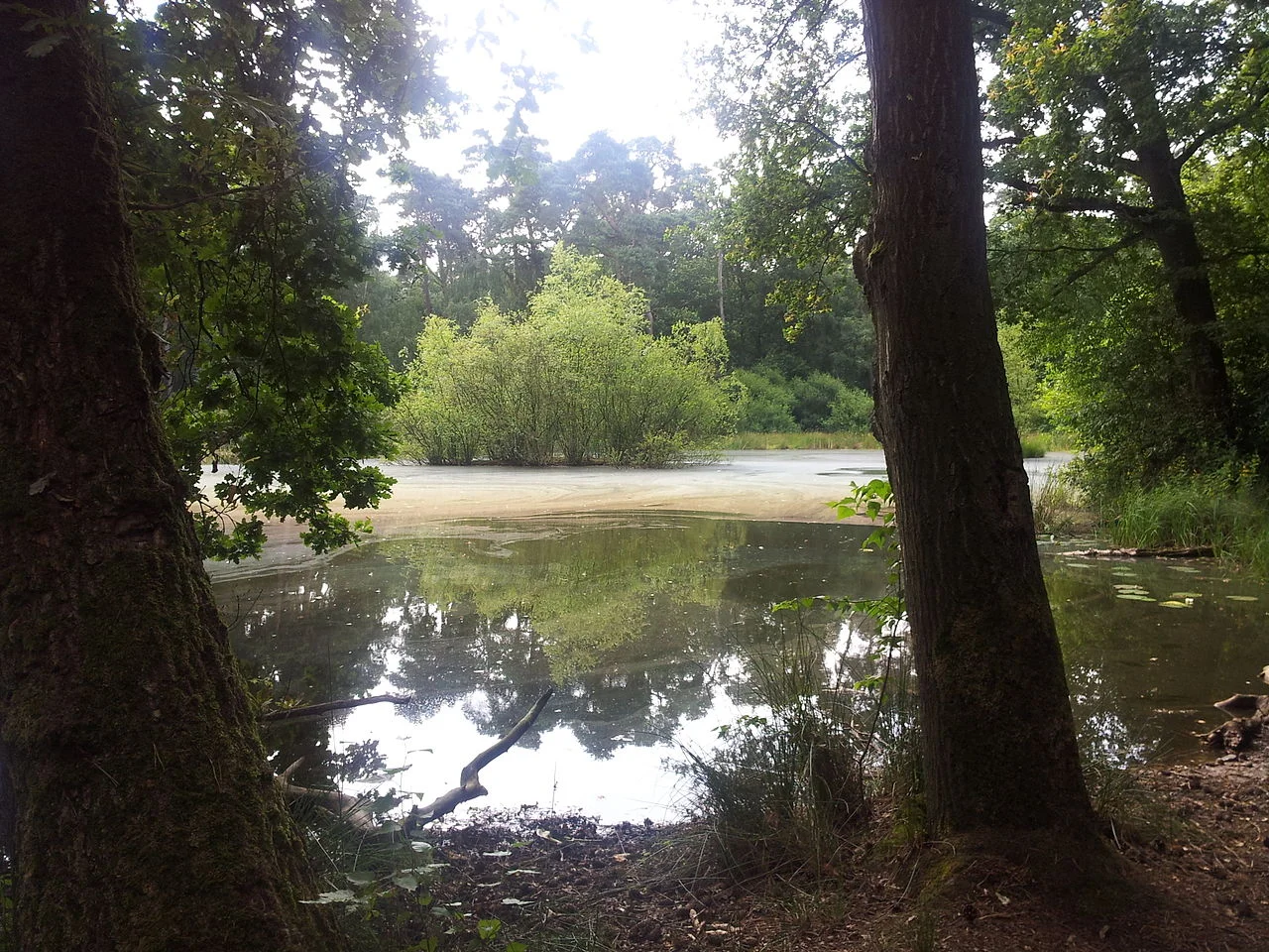 Photo of Woensdrecht