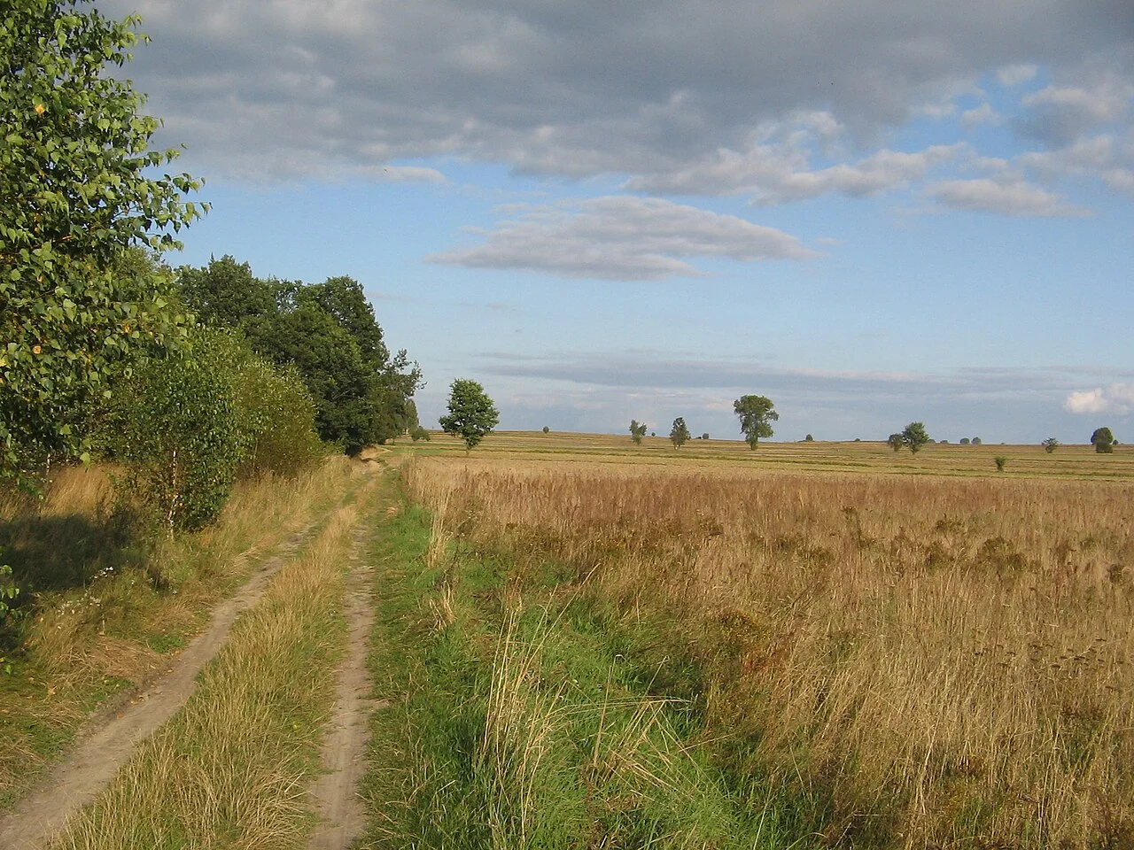 Photo of Wola Sernicka