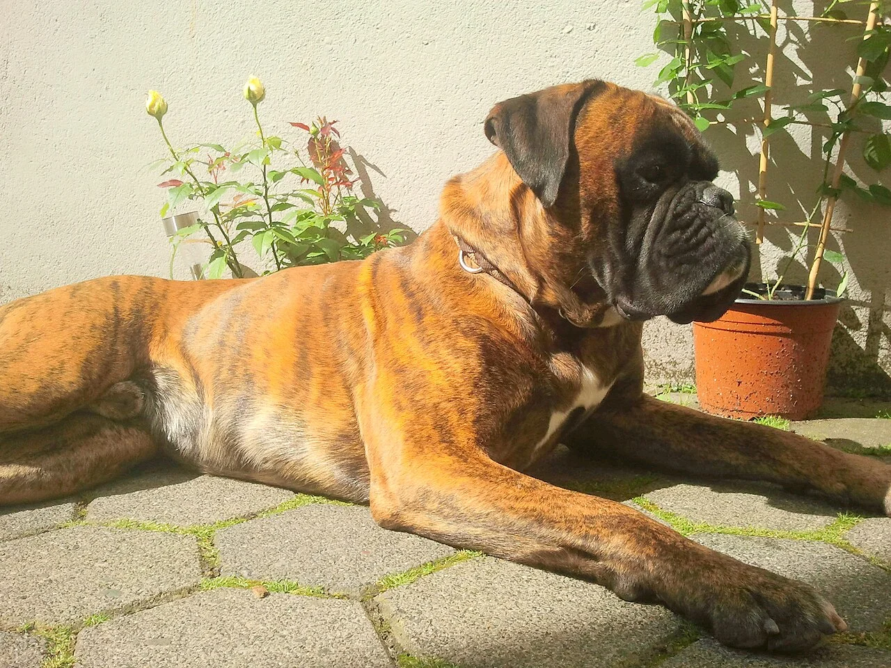 Photo of Wölfersheim