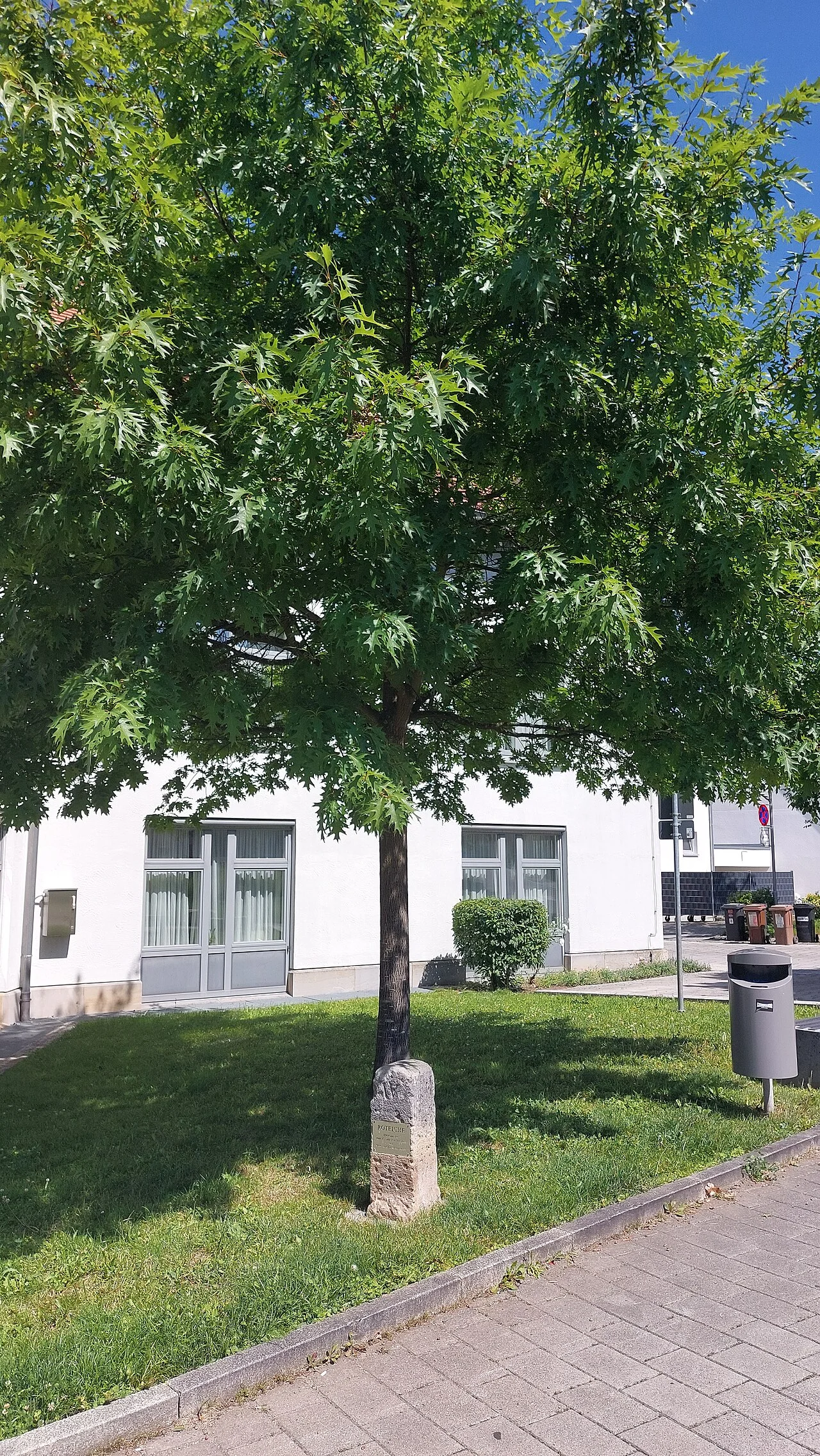 Photo of Wolfschlugen