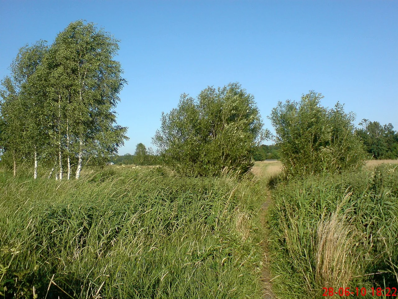 Photo of Wólka Niedźwiedzka