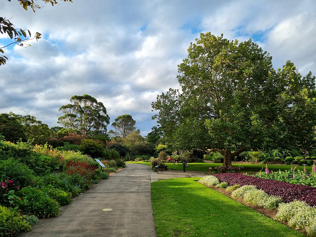 Wollongong Botanic Garden