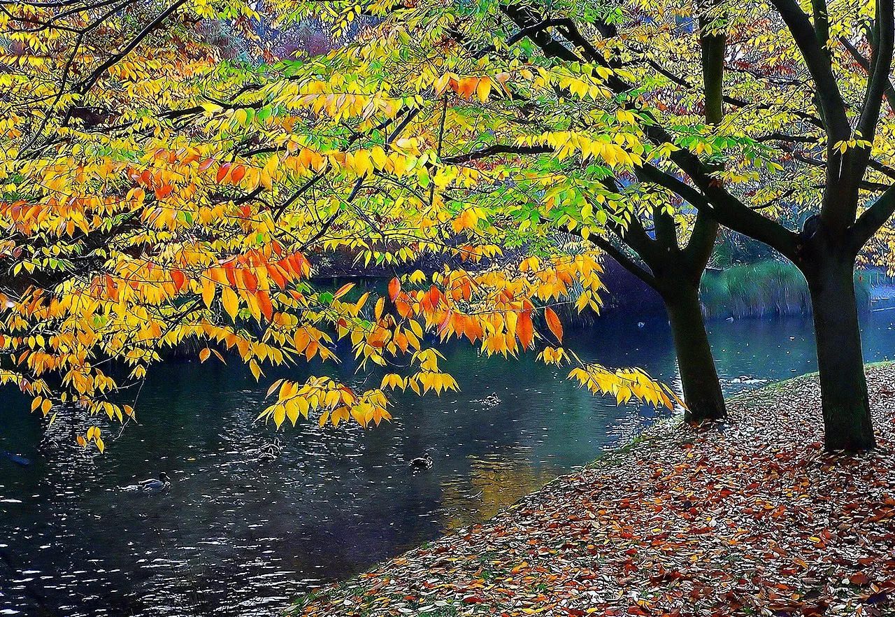 Photo of Woodlands Park