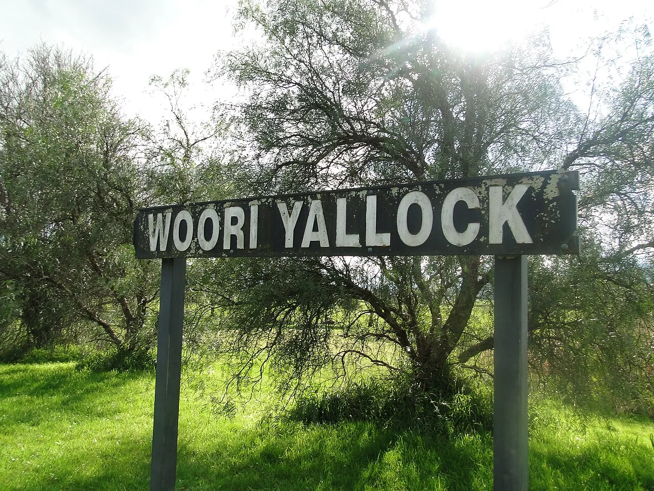 Photo of Woori Yallock