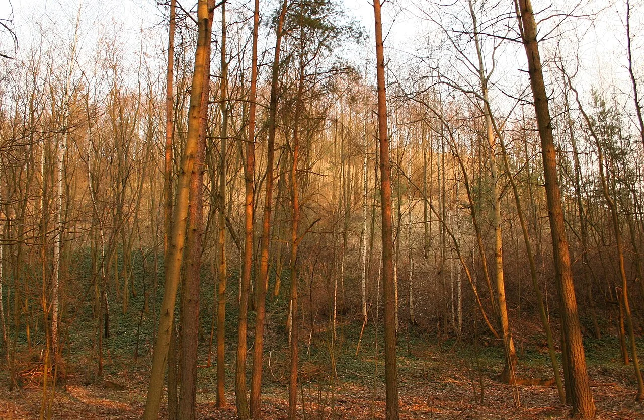 Photo of Wręczyca Wielka