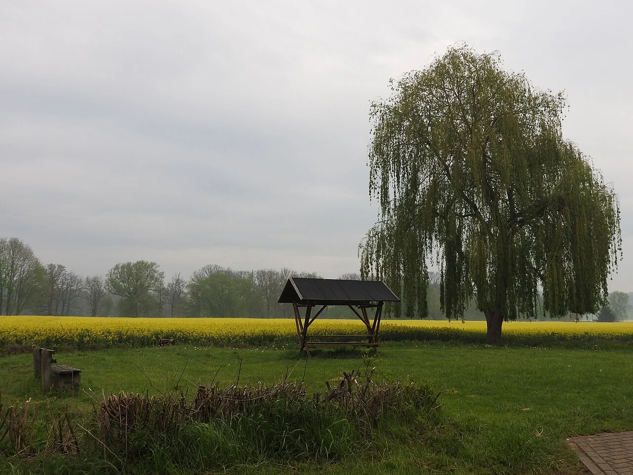 Photo of Wünschendorf