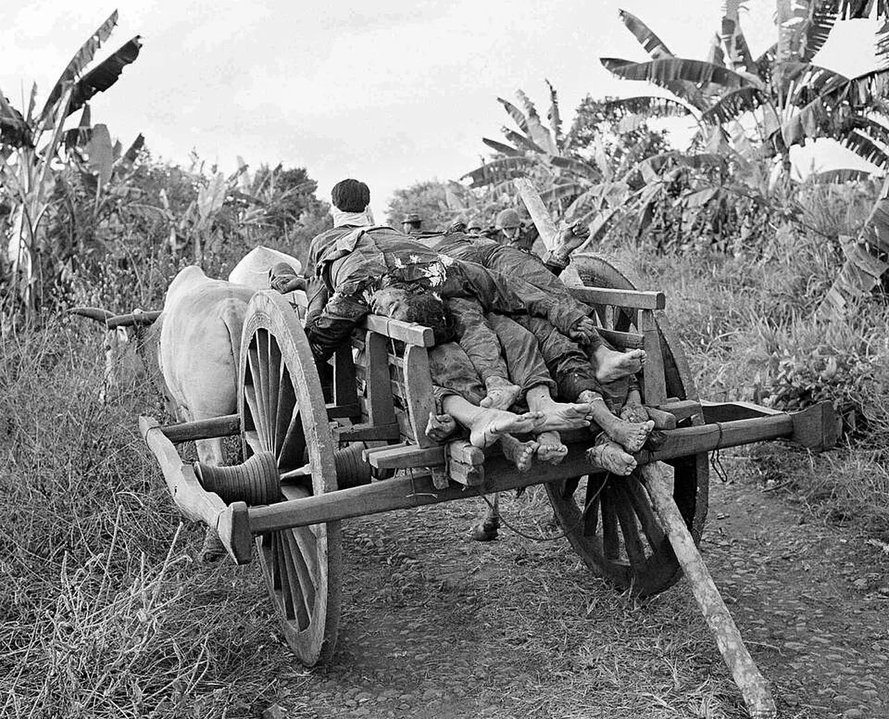 Photo of Xã Bình Giả