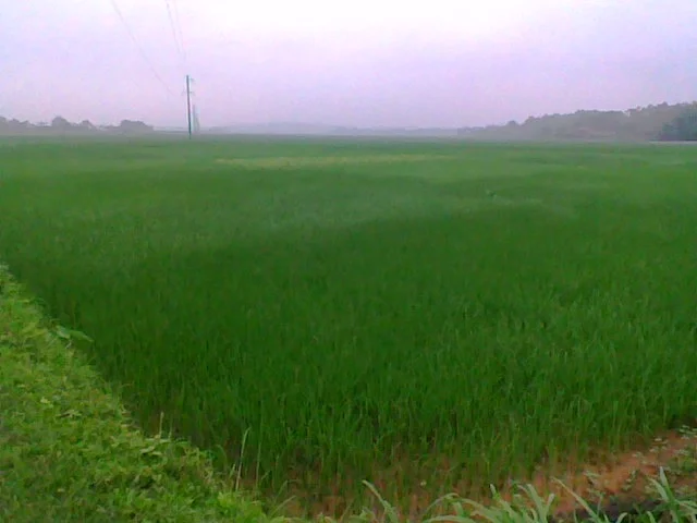 Photo of Xã Phúc Thọ