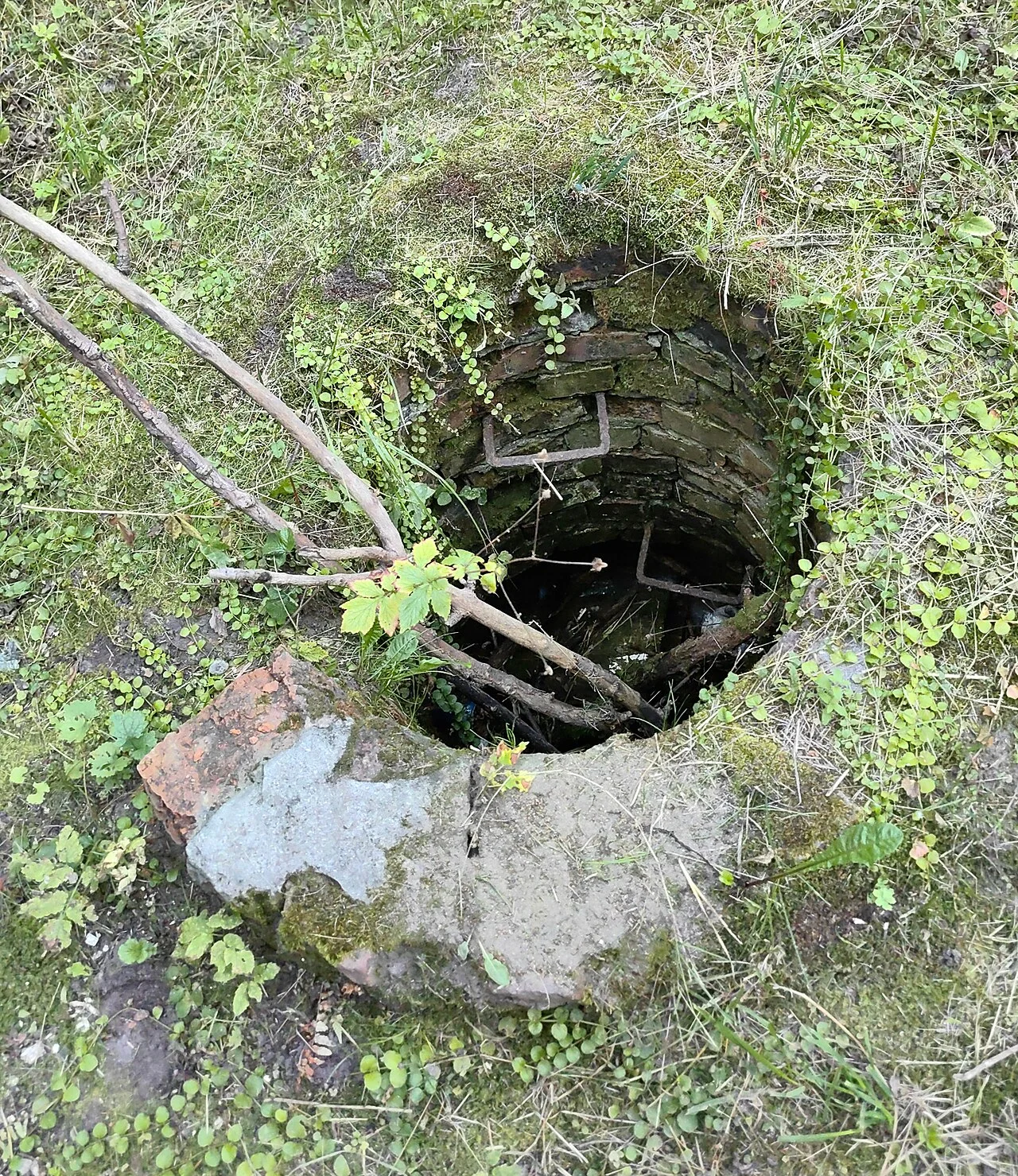 Photo of Yakovlevskoye