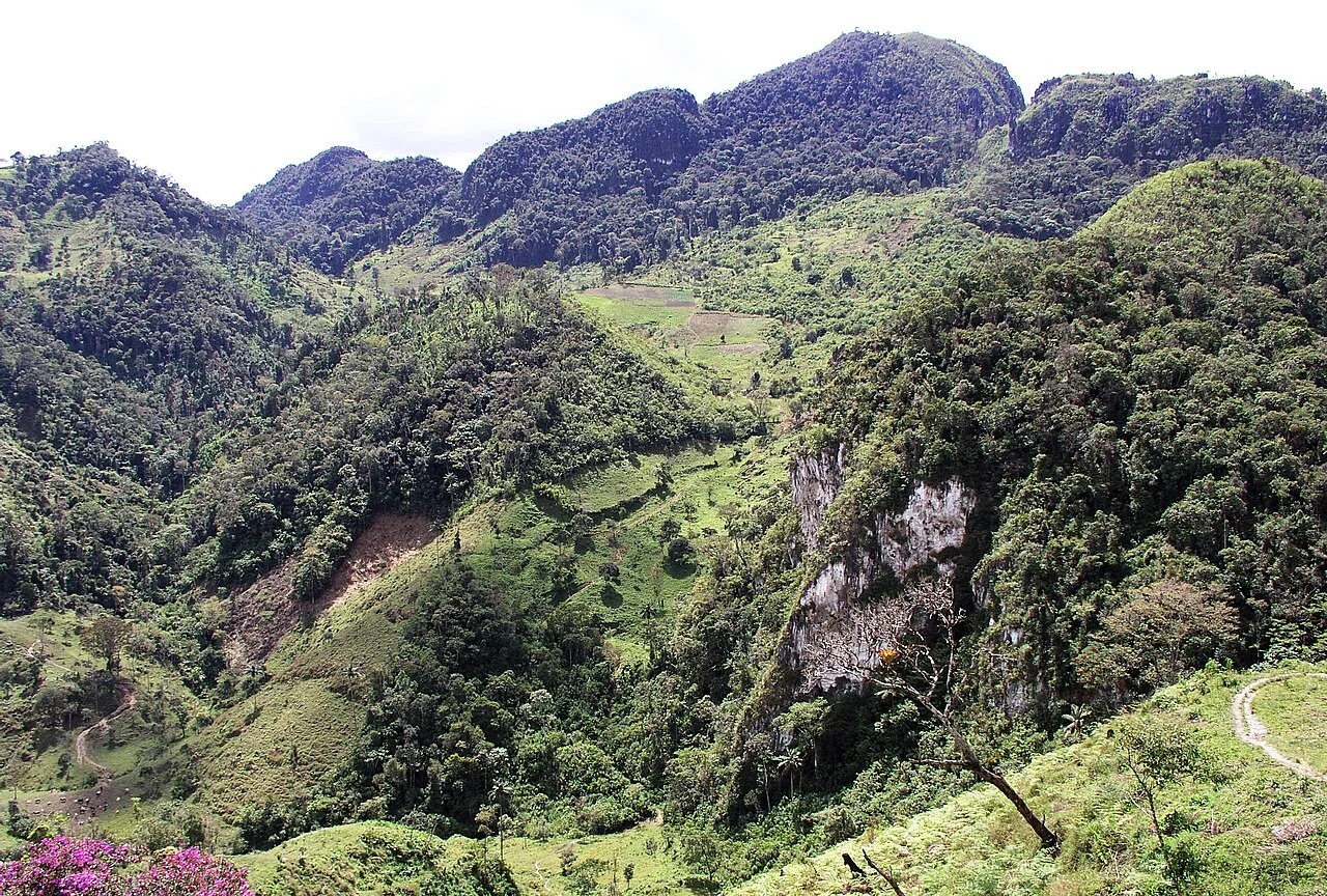 Photo of Yambrasbamba