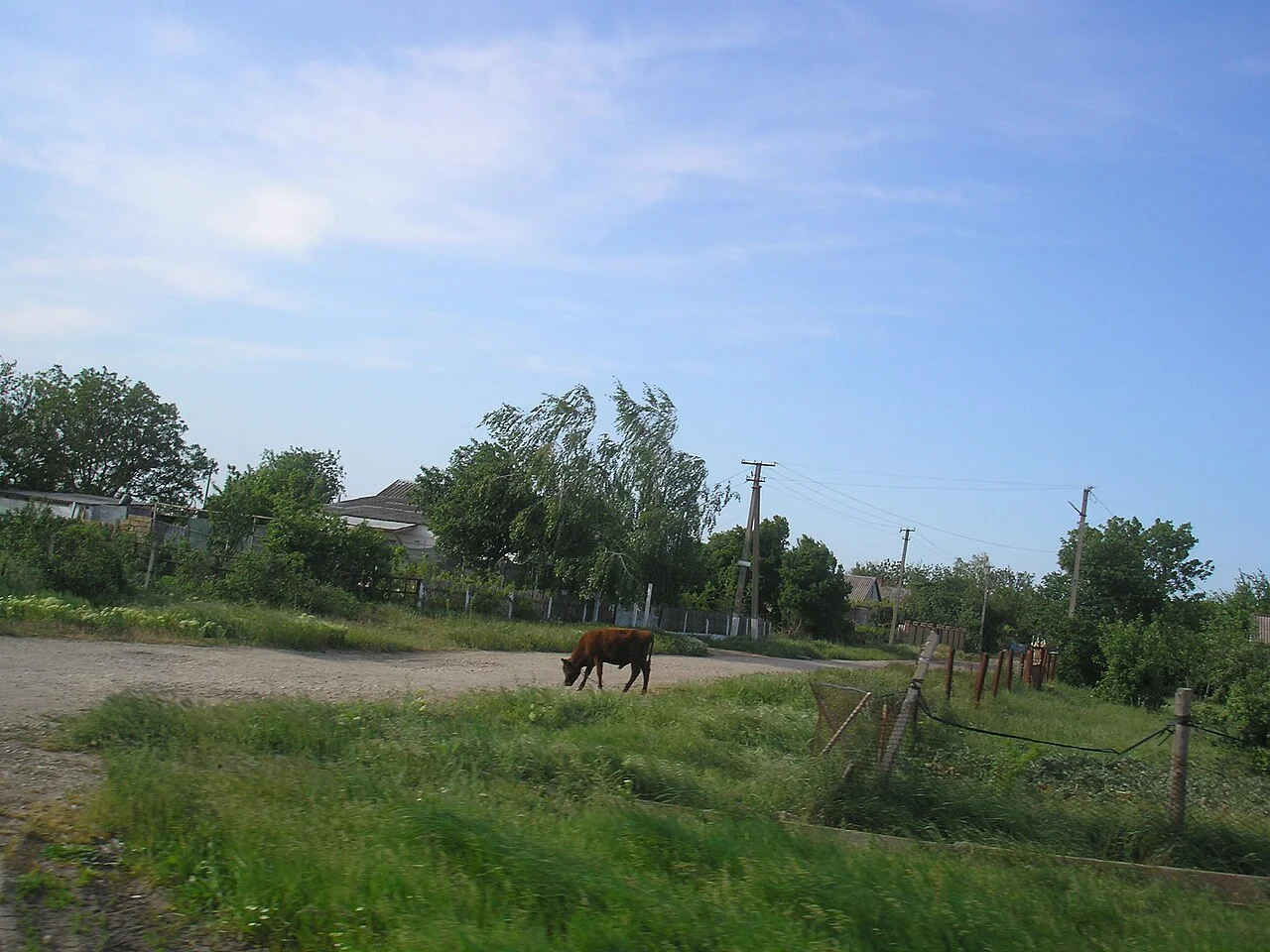 Photo of Yarkoye Pole