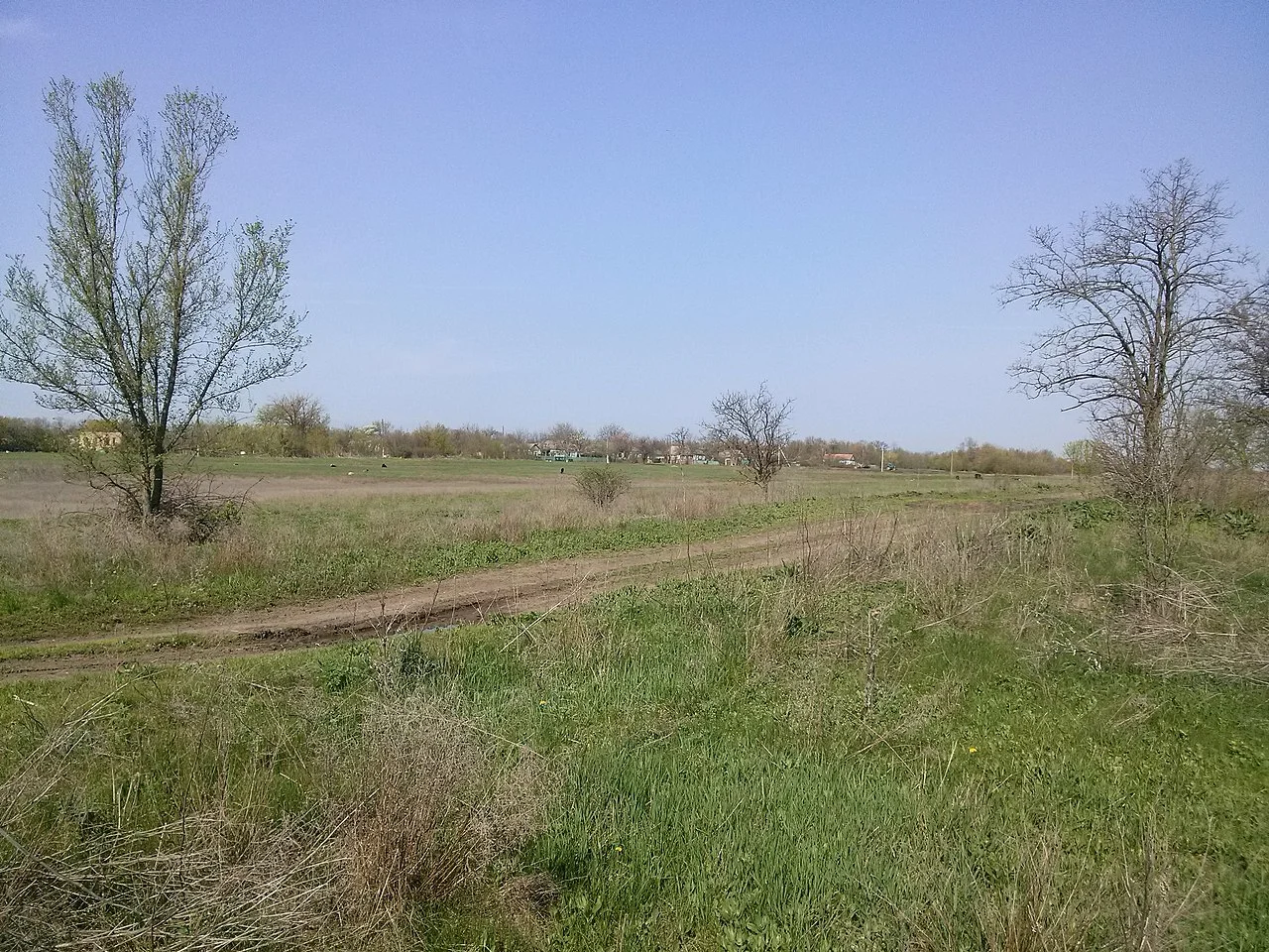 Photo of Yasna Poliana