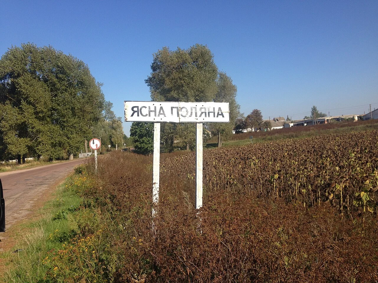 Photo of Yasna Poliana