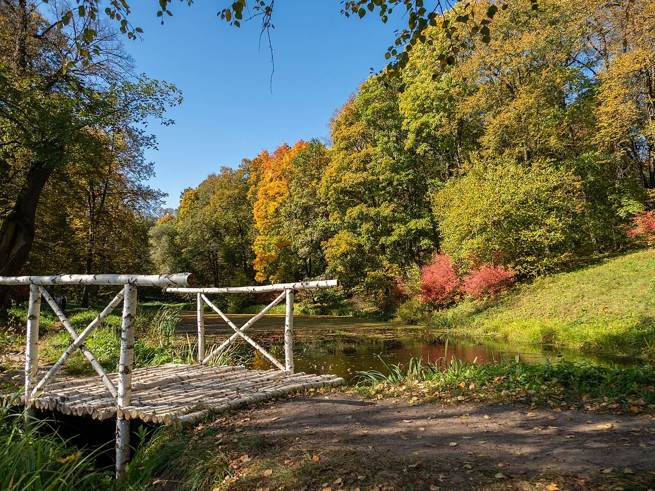 Photo of Yasnaya Polyana
