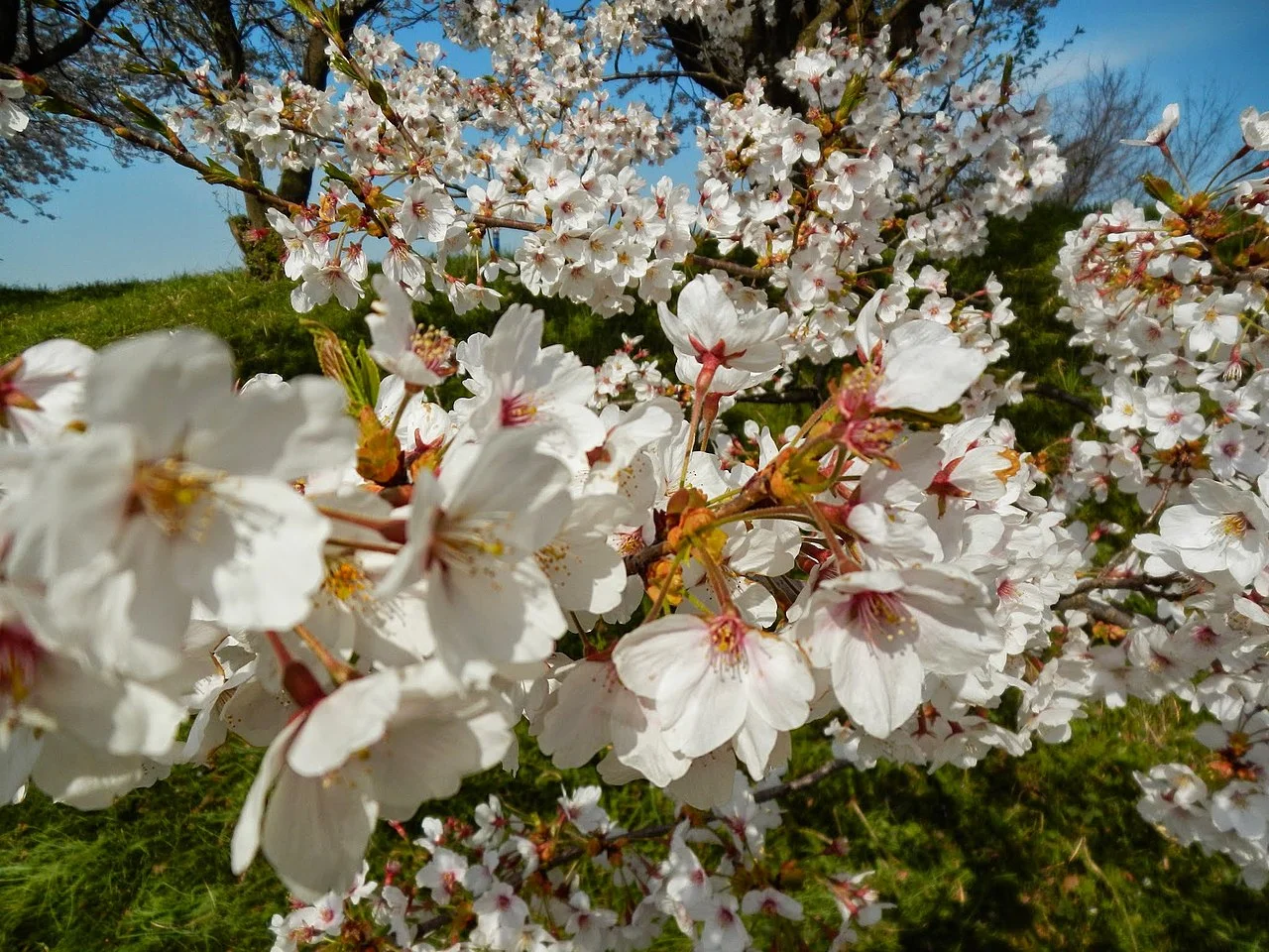 Photo of Yatsuomachi-higashikumisaka