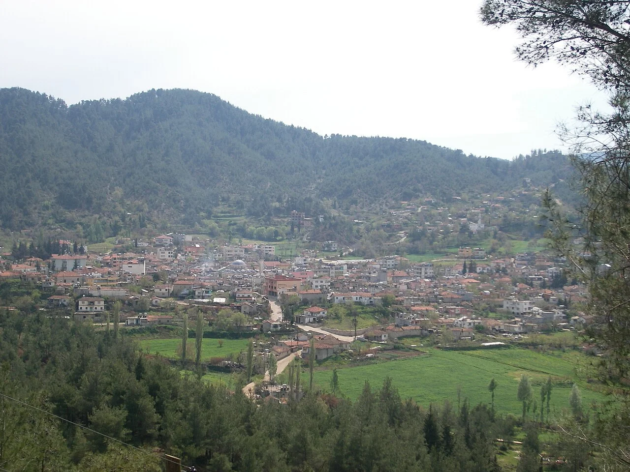 Photo of Yayladağı