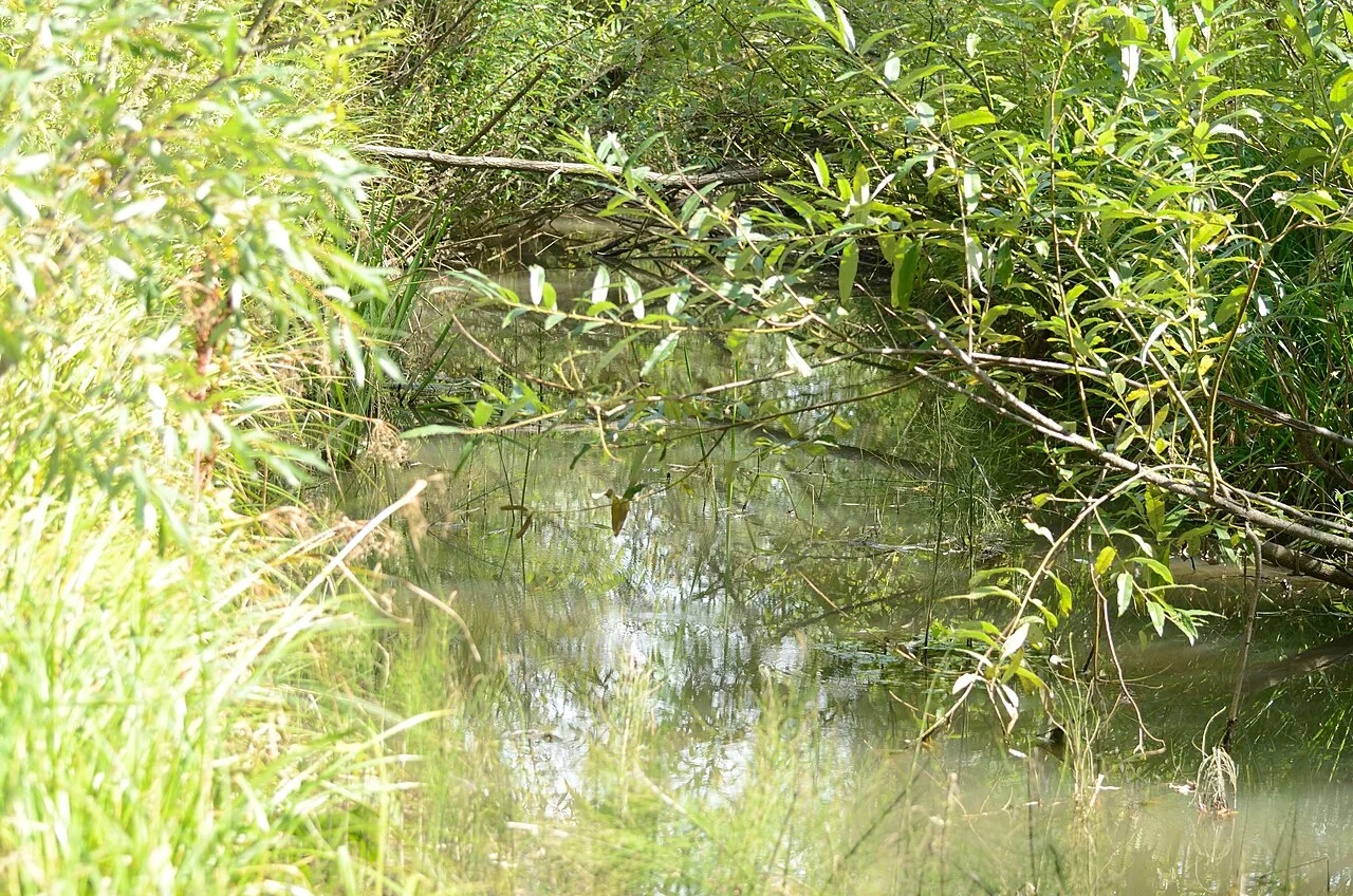 Photo of Yel’tsovka