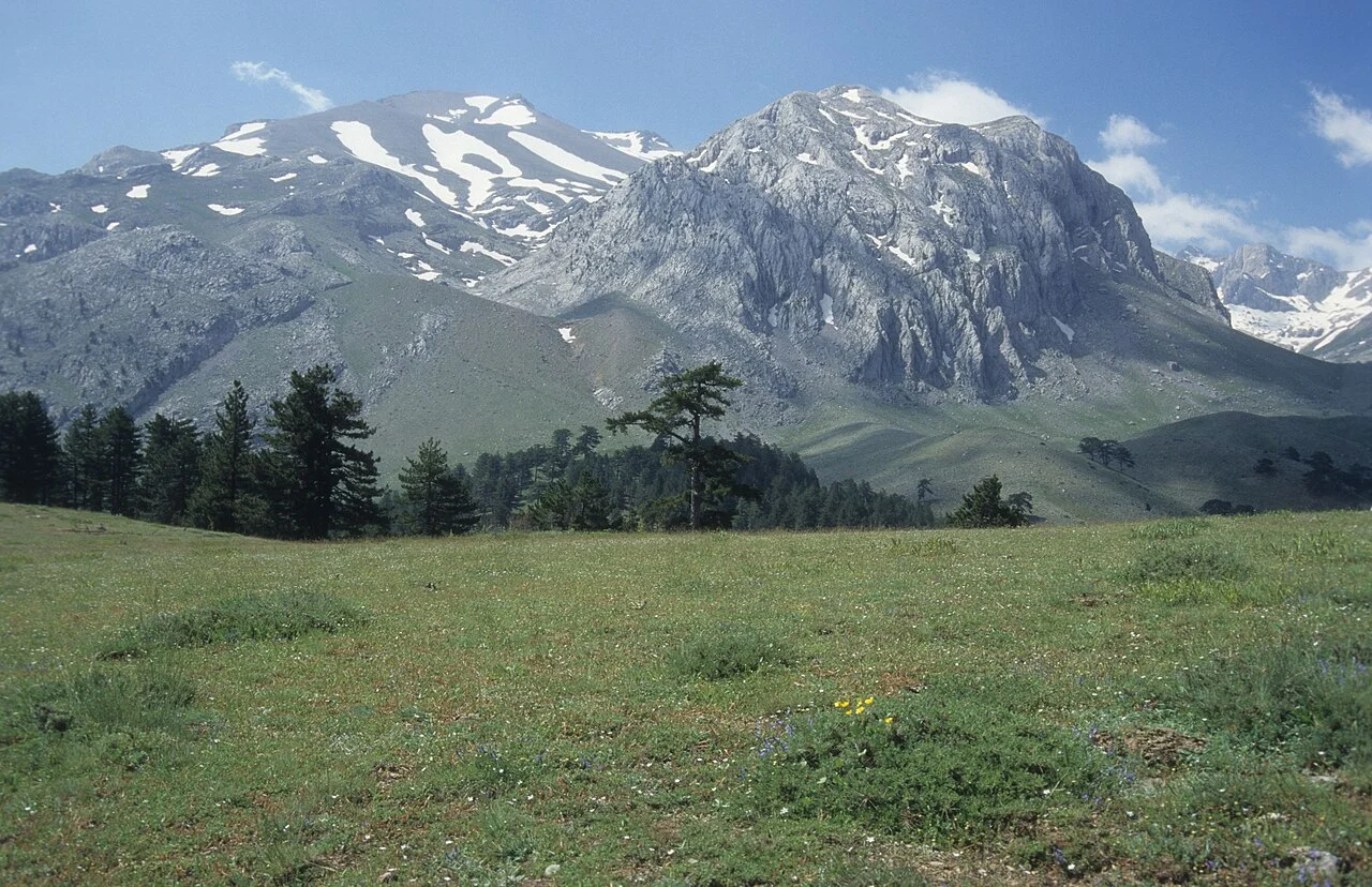Photo of Yenişarbademli