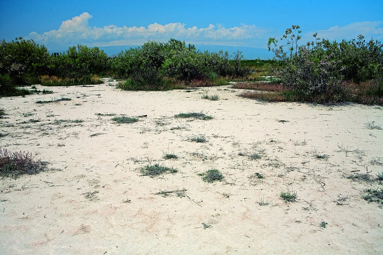 Photo of Yeraskhahun